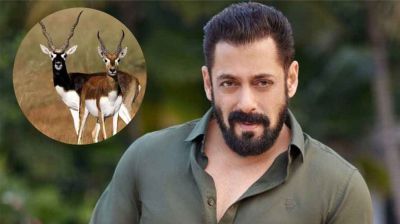 অবশেষে কৃষ্ণসার হরিণ হত্যা নিয়ে মুখ খুললেন সালমান খান