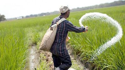 বিএডিসির শত কোটি টাকার সার সরবরাহে বাধা দেয়ার অভিযোগ
