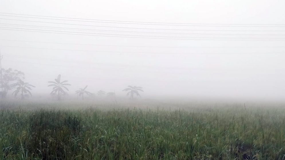 কুয়াশার চাদরে ঢাকা রাজধানী থেকে উত্তরাঞ্চল