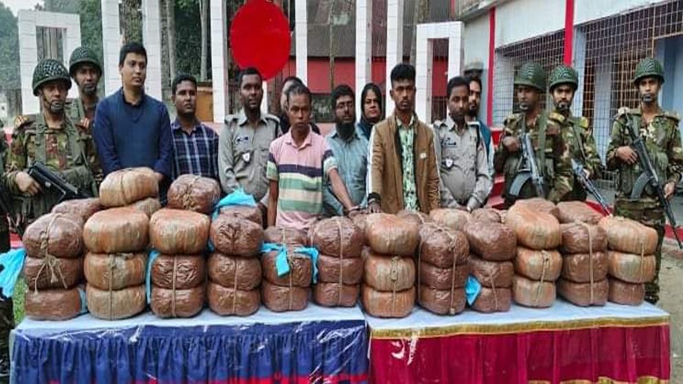 যৌথবাহিনীর অভিযানে ১৪২ কেজি গাজা উদ্ধার