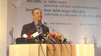 অন্তর্বর্তী সরকারের সময়ে রেমিট্যান্স বেড়েছে : আসিফ নজরুল