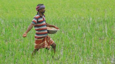 সার সংকটে কৃষকের উদ্বেগ