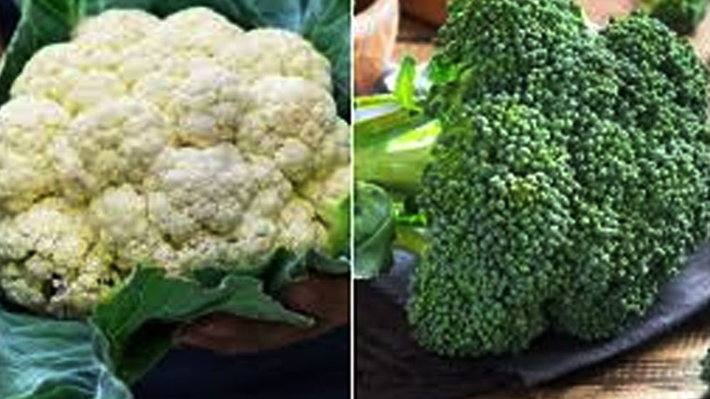 ব্রকলি না ফুলকপি, কোনটি বেশি স্বাস্থ্যকর?