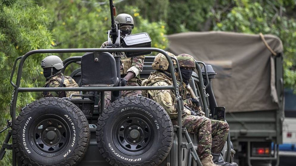 চাদে প্রেসিডেন্ট প্রাসাদে হামলা, নিহত ১৯