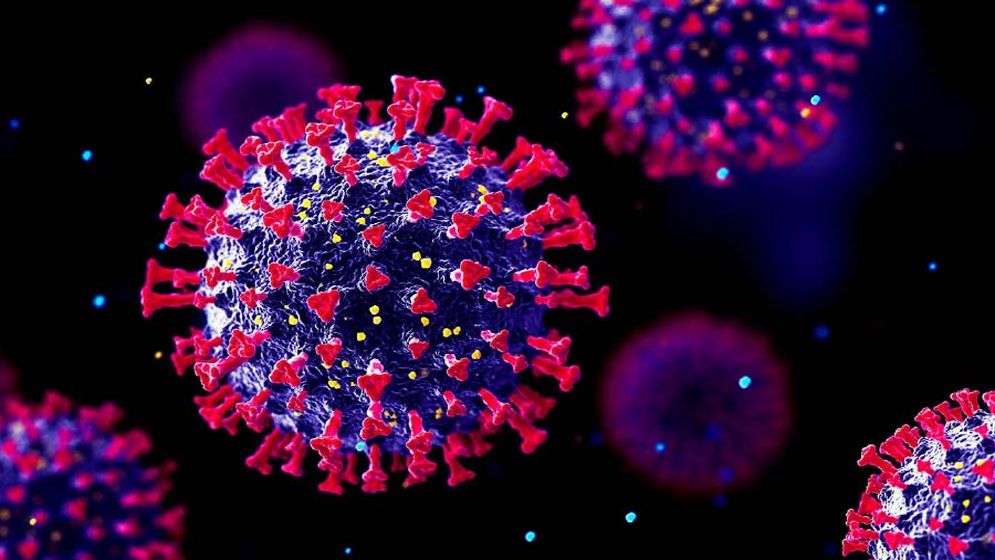 চীনে নতুন ভাইরাসের হানা!