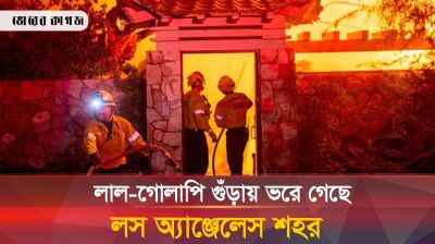 দাবানলের আগুন নিয়ন্ত্রনে লাল-গোলাপি গুঁড়া ছিটানোর কারণ কী?