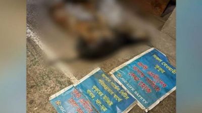 কুকুর-বিড়াল হত্যায় জাপান সিটির ৬ জনের নামে মামলা