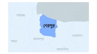 বোনকে হত্যার অভিযোগে বড় ভাই গ্রেপ্তার