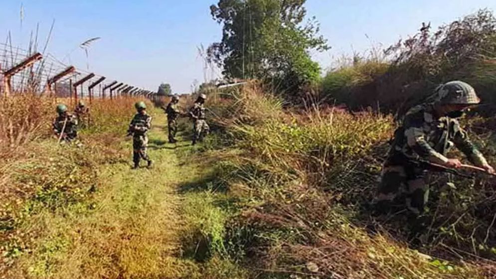 সীমান্তে ফের কাঁটাতারের বেড়া তুলতে বাধা বিজিবির, কাজ বন্ধ রাখতে বাধ্য হলো বিএসএফ