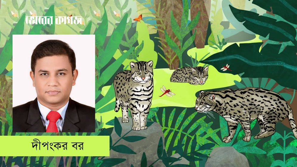 জনগণ যদি হয় সচেতন, মেছো বিড়াল হবে সংরক্ষণ