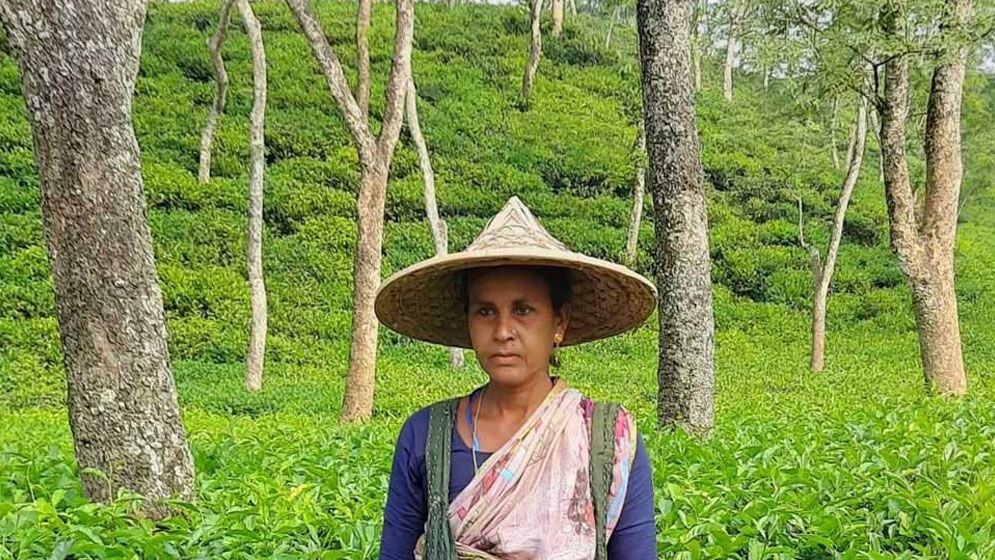 ফের ‘শ্রেষ্ঠ চা পাতা চয়নকারী’র পুরস্কার পেলেন ফটিকছড়ির জেসমিন