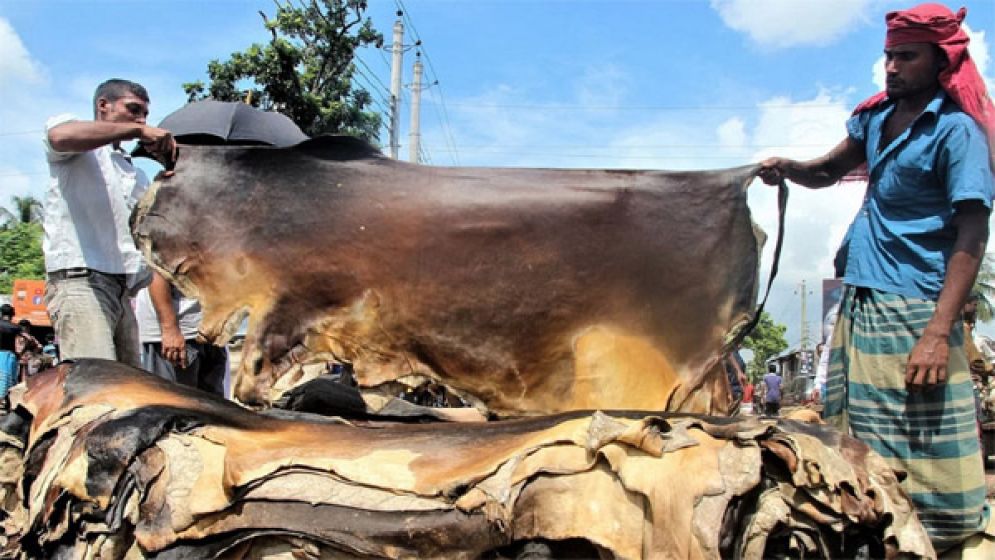 কোরবানির পশুর চামড়ার দাম বাড়লো