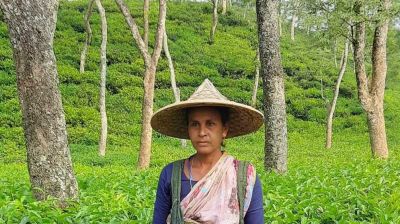 ফের ‘শ্রেষ্ঠ চা পাতা চয়নকারী’র পুরস্কার পেলেন ফটিকছড়ির জেসমিন 