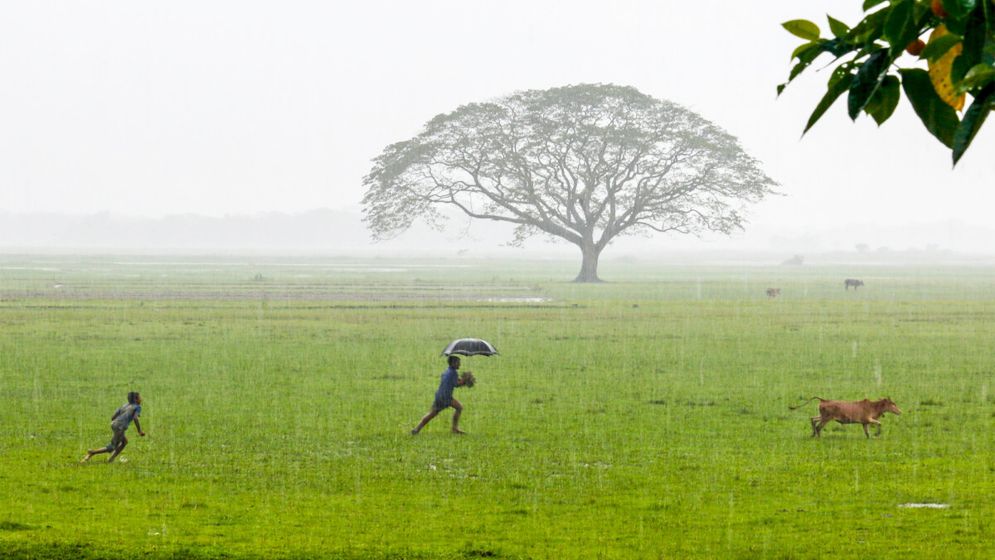 ঋতুরানী বর্ষার প্রথম দিন আজ