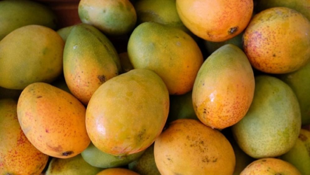 রাসায়নিকমুক্ত মিষ্টি আম চেনার উপায়