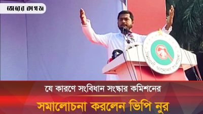 জাতীয় নির্বাচনের আগে আবারো স্থানীয় সরকার নির্বাচন চাইলেন ভিপি নুর
