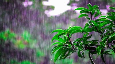 ঢাকাসহ ৪ বিভাগে অতি ভারী বৃষ্টির আভাস