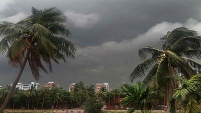 দুপুরের মধ্যে ১৩ জেলায় ঝড়ের শঙ্কা