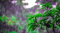 ঢাকাসহ ৪ বিভাগে অতি ভারী বৃষ্টির আভাস