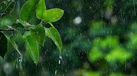 ঢাকায় হালকা বৃষ্টি, চার বিভাগে ভারী বর্ষণের আভাস
