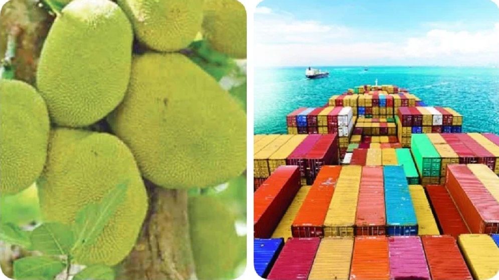 প্রথমবারের মতো সমুদ্রপথে সাড়ে ৩ টন কাঁঠাল রফতানি, নতুন আশার আলো 