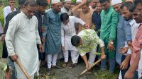 মাদক ও দখলবাজির স্থান বিএনপিতে নেই: মোস্তফা জগলুল পাশা পাপেল