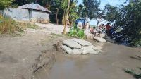 গঙ্গাচড়ায় তিস্তার ভাঙনে বিলীন ফসলি জমি, আতঙ্কে অর্ধশত পরিবার
