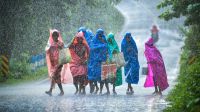 চার বিভাগে ভারী বৃষ্টিপাতের শঙ্কা