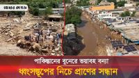 পাকিস্তানে বন্যায় প্রাণে বেঁচে ফেরা মানুষের হাহাকার