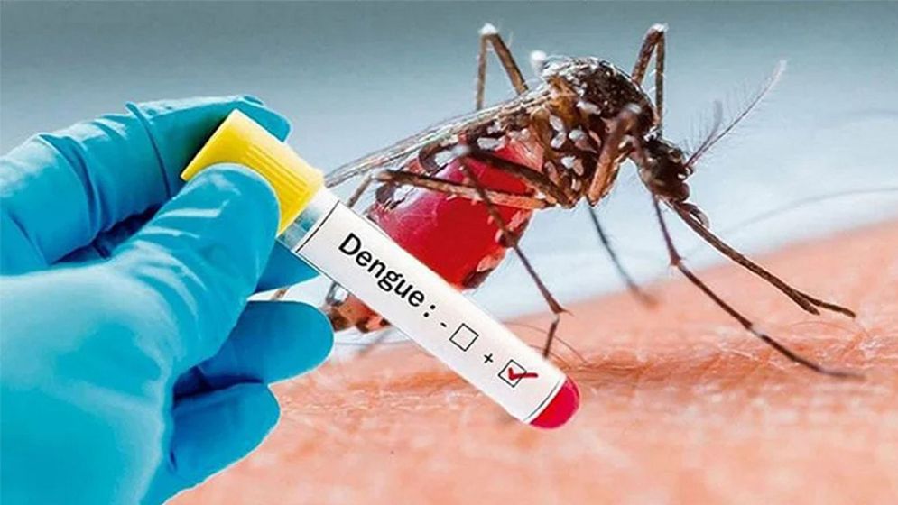 ডেঙ্গুতে আরো ৫ মৃত্যু, হাসপাতালে ভর্তি ৬৩৬ জন