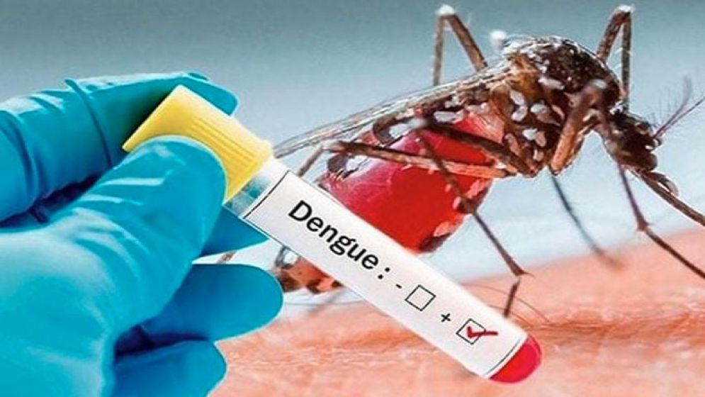 ডেঙ্গুতে একদিনে ৬ জনের মৃত্যু, হাসপাতালে ভর্তি ৫৮৬