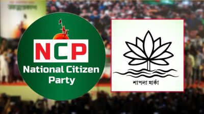 শাপলা প্রতীক পাচ্ছে না এনসিপি