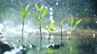 বৃষ্টি নিয়ে দুঃসংবাদ দিলো আবহাওয়া অফিস