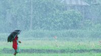 ছয় বিভাগে ভারী বৃষ্টির আভাস