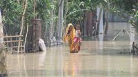 বিপদসীমার ওপরে তিস্তা–ধরলার পানি, দিশেহারা চরাঞ্চলের মানুষ