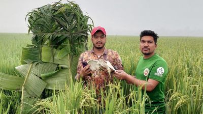 বিলুপ্তির পথে চলনবিলের জীববৈচিত্র্য 