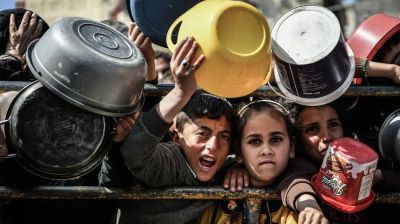 যতক্ষণ না জমিতে ফসল ফলাতে পারছি, ততক্ষণ গাজা দুর্ভিক্ষের ছায়ায় থাকবে