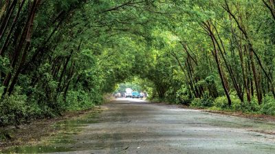 পরিবেশ সুরক্ষায় এগিয়ে আসছে দেশের বিভিন্ন প্রতিষ্ঠান