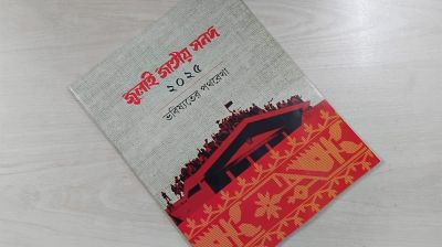 জুলাই সনদ-গণভোট-আরপিও, সব তীর সরকারের দিকে