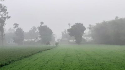 পঞ্চগড়ে বাড়ছে শীতের দাপট
