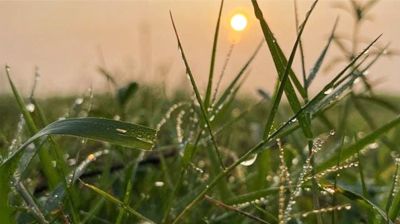 ডিসেম্বরে শৈত্যপ্রবাহের আভাস, উত্তর-পশ্চিমাঞ্চল দিয়ে শুরু হবে শীত