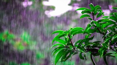 ঢাকায় হালকা বৃষ্টির আভাস, কমবে গরম