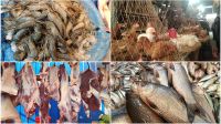 উচ্চমূল্যে ‘স্থিতিশীল’ মাছ, গরু-খাসির মাংসও অধরা