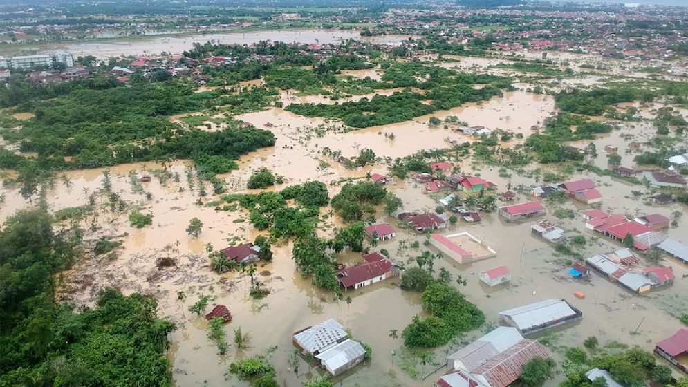 মৃতের সংখ্যা ৯১৬, নিখোঁজ শতাধিক