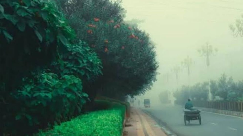 ঘন কুয়াশা ও তীব্র শীতে বিপর্যস্ত কুড়িগ্রামের জনজীবন