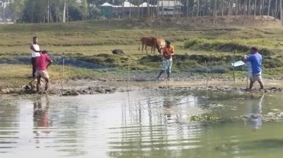 শীতের স্থবিরতা কাটিয়ে লালমনিরহাটে কর্মব্যস্ততা