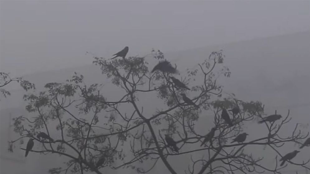 হাড়কাঁপানো শীতে কাবু পঞ্চগড়, তাপমাত্রা ৭.৭ ডিগ্রি