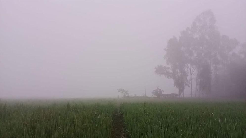 আগামী ৫ দিন কেমন থাকবে আবহাওয়া 