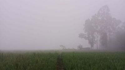 আগামী ৫ দিন কেমন থাকবে আবহাওয়া 