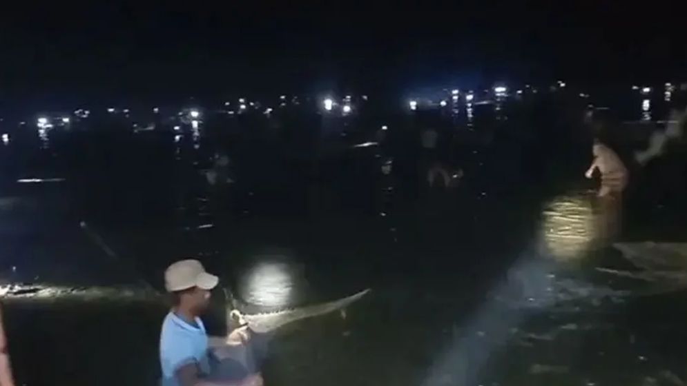 জলমহালের অর্ধকোটি টাকার মাছ লুটপাট করলো ৮ গ্রামের মানুষ  